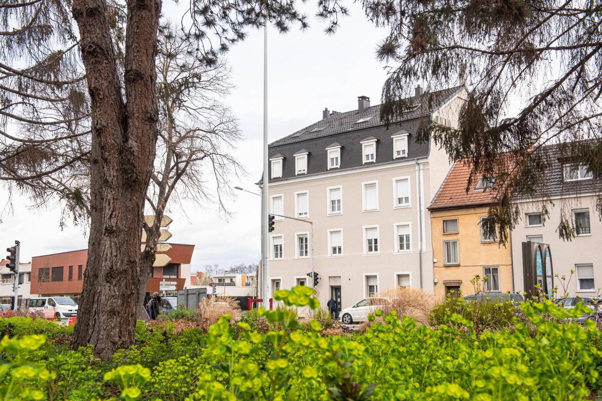 Apartament Oasis Mulhousien - Rdc, Wifi, Parking Miluza Zewnętrze zdjęcie